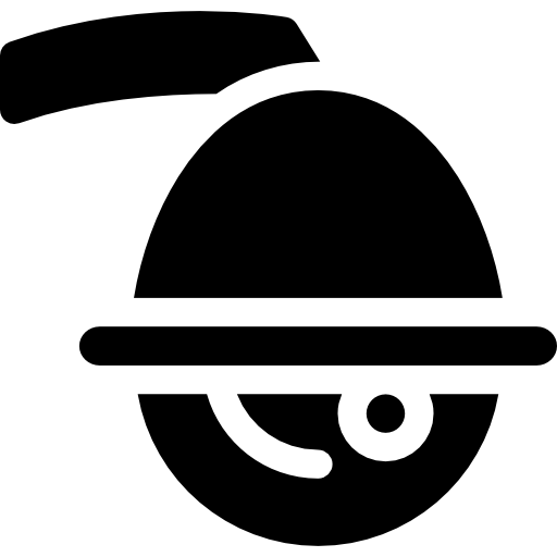 Security System Icon