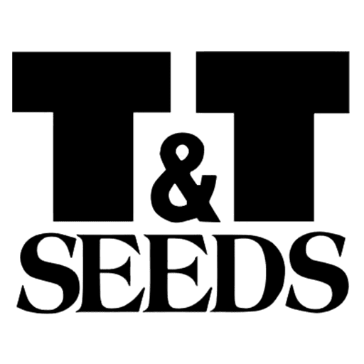 Cropped Tt Icon Tampt Seeds