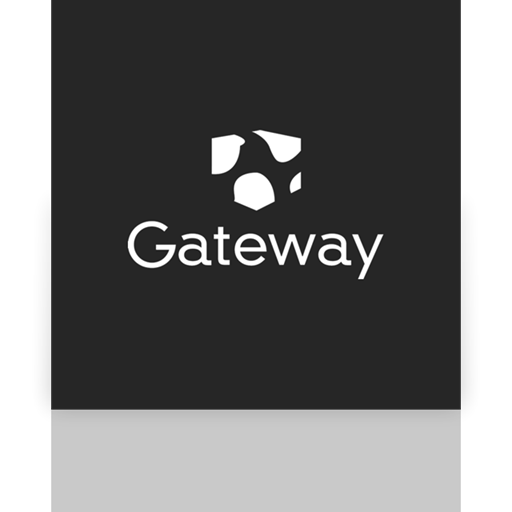 Mirror, Gateway Icon