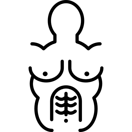 Human Body Icon