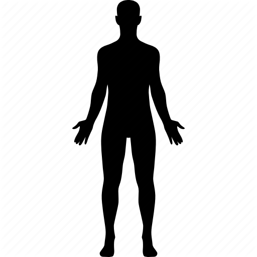 Body, Diagram, Human, Male, Man, Medical, Sex Icon