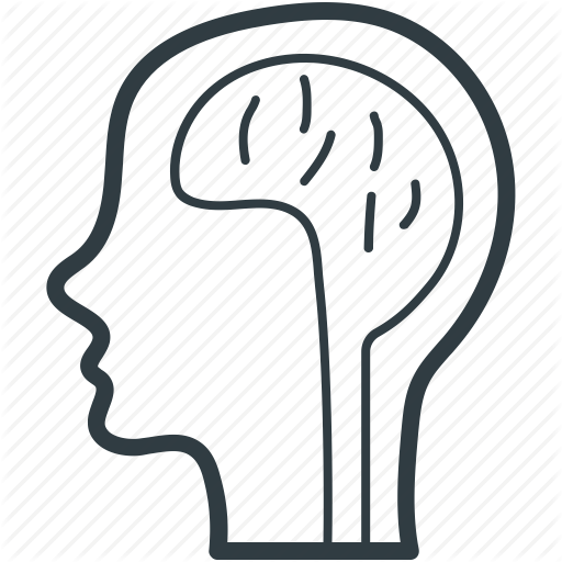 Brain Anatomy, Creative Mind, Human Brain, Human Head, Thinking Icon