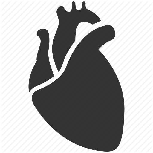 Human Heart Icon