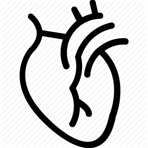 Body Part, Cardiology, Heart, Human Heart, Organ Icon