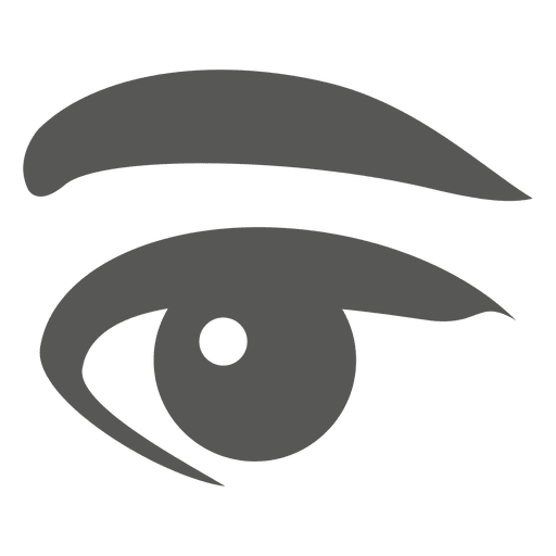 Human Eye Icon