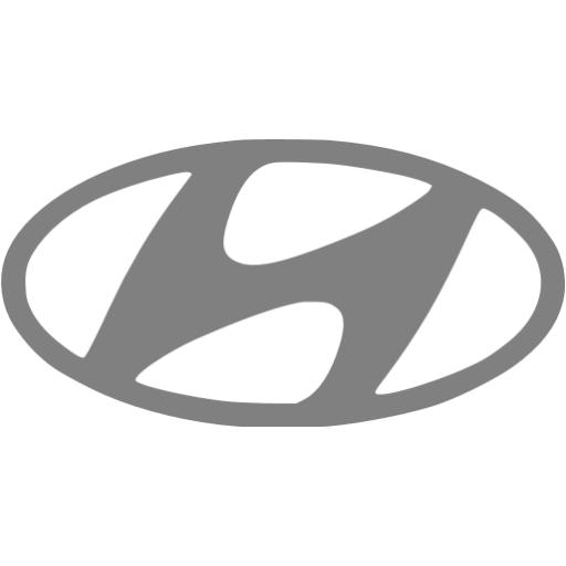 Gray Hyundai Icon