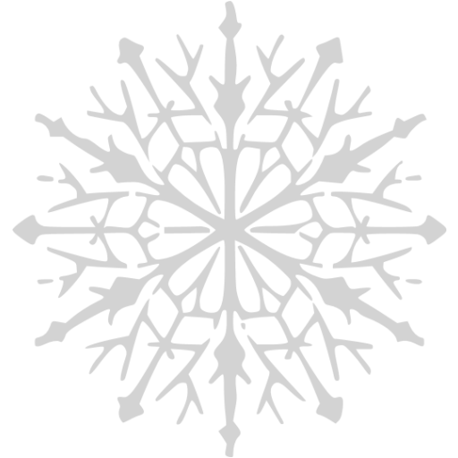 Light Gray Snowflake Icon