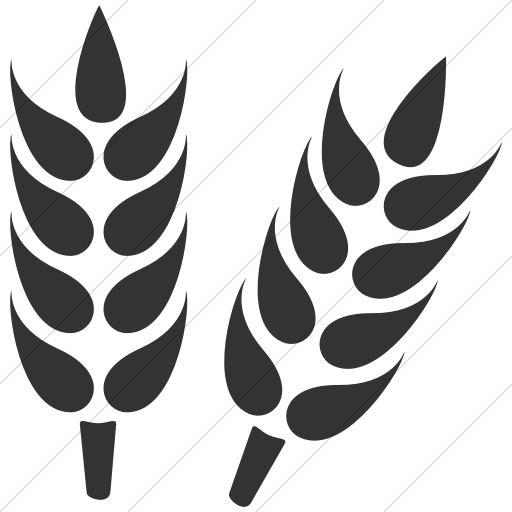 Simple Dark Gray Ocha Humanitarians Other Cluster