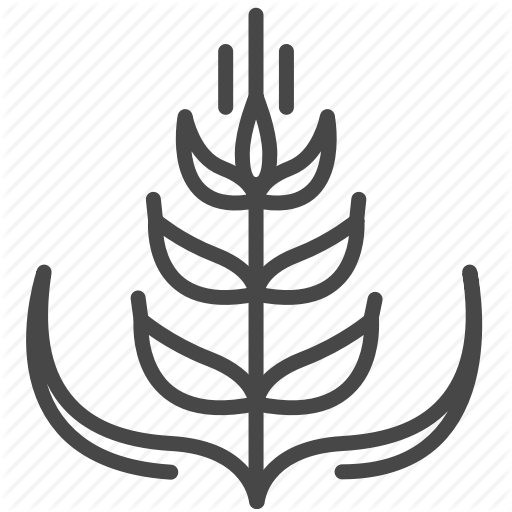 Agriculture, Barley, Corn, Crop, Cultivation, Farm, Rice Icon