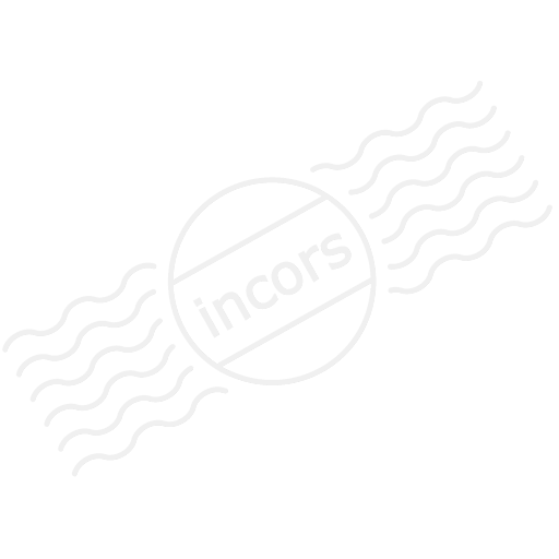 Iconexperience M Collection Airplane Icon