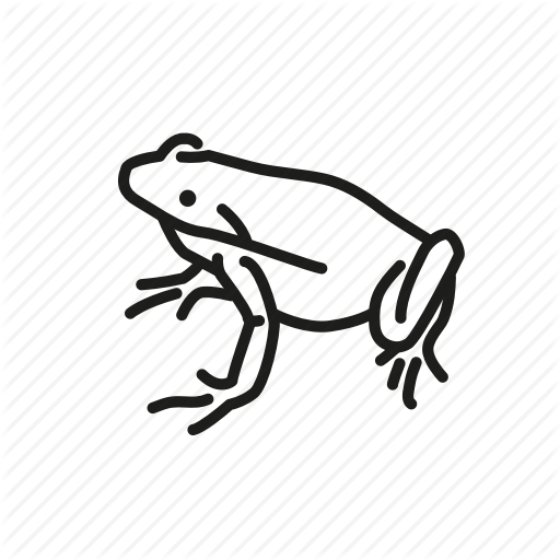 Amphibian, Animal, Batrachia, Freshwater, Freshwater Creature