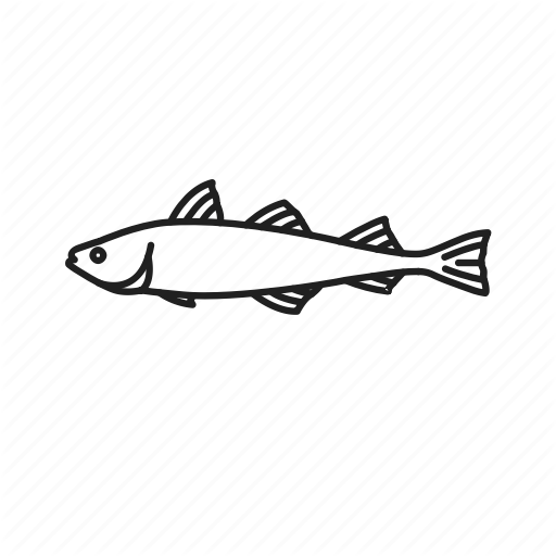 Boston Blues, Coalfish, Fish, Pollack, Pollock Fish, Salt Water