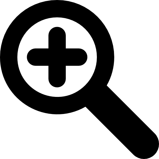 Zoom Ns Free Download