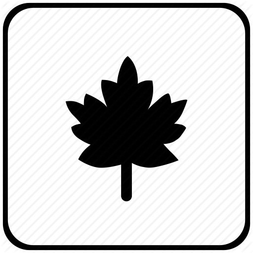 Border, Canada, Leaf, Nature, Rounded, Square Icon