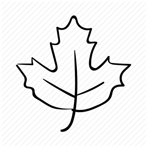 Canada, Canada Lead, Canadian, Leaf, Leaves, Nature, Plant Icon