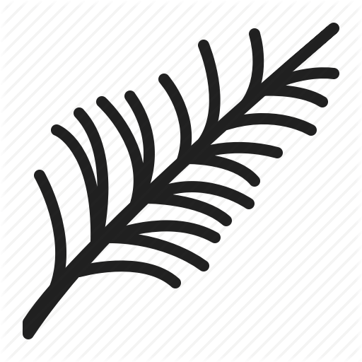 Conifer, Coniferous, Pine Icon