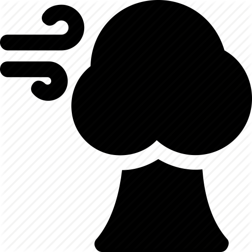 Conifer Windbreak, Forest Weather, Forest Wind, Tree Wind, Weather