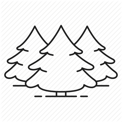 Conifer, Fir, Forest, Nature, Park, Spruce, Tree Icon