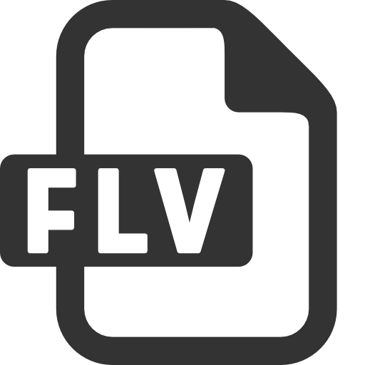 Flv Icon