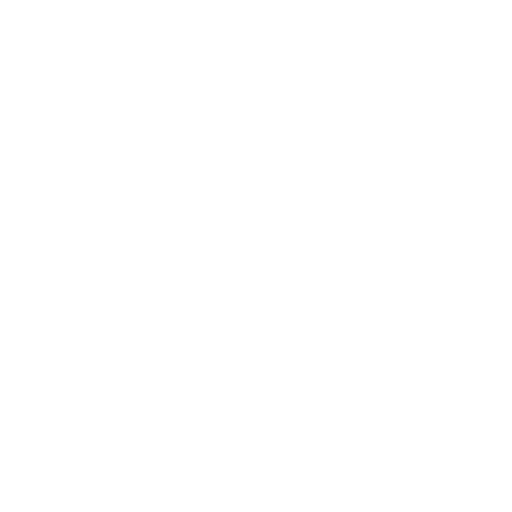 White Dll Icon