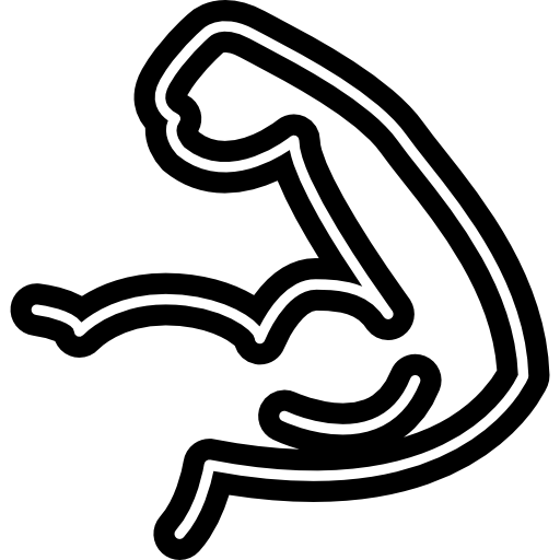 Muscle Flex Outline Icons Free Download