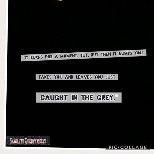 The Grey Icon For Hire Amino