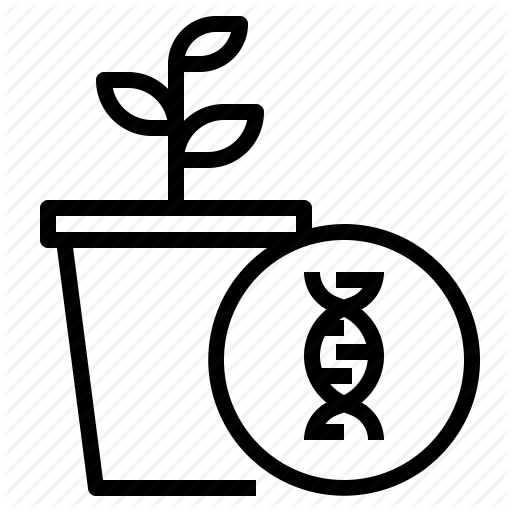 Engineering, Genetics, Gmo, Growing, Plant, Productivity Icon