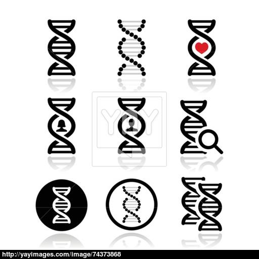 Dna, Genetics Vector Icons Set Vector