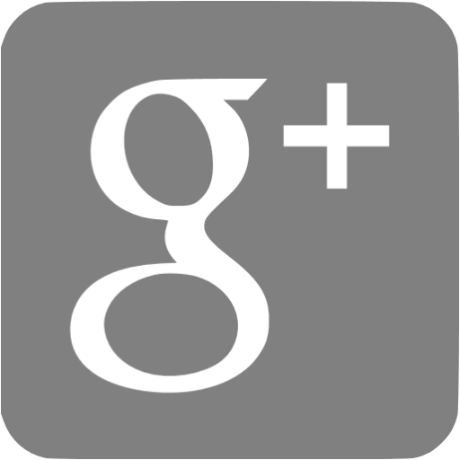 Gray Google Plus Icon