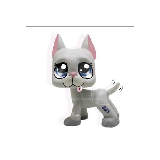 Lpsjaffafox Lps Amino