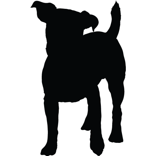 True Dog Training And Pack Walking Edina, Mn