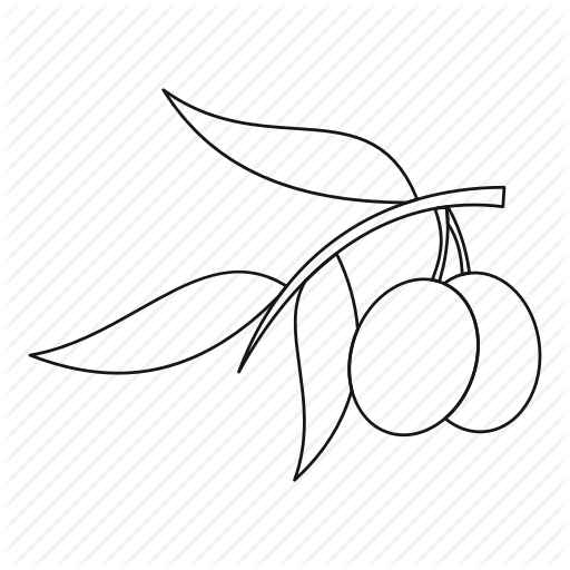 Branch, Food, Line, Mediterranean, Oil, Olive, Outline Icon