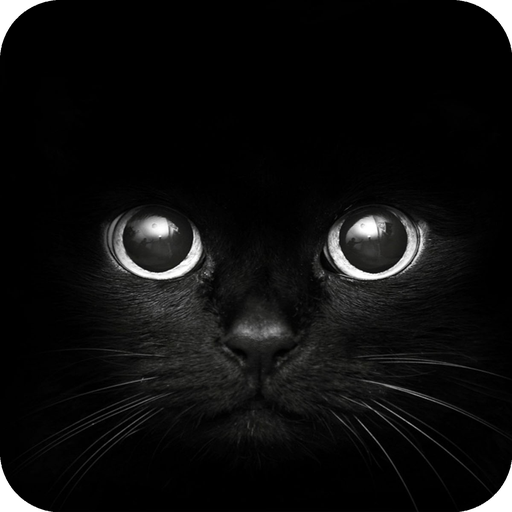 Black Cat Eyes S Launcher Theme Download Apk Para Android