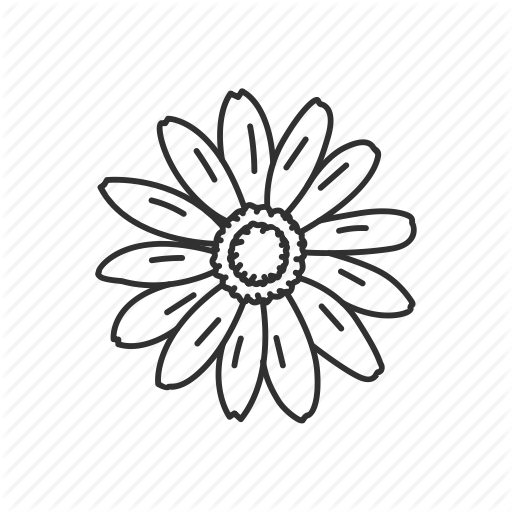 Black Eyed Susan, Flower, Maryland, State, State Flower, State