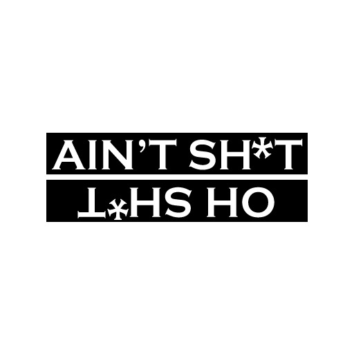 Ain't Shit, Oh Shit Drift Vinyl Decal Sticker Available In Multi