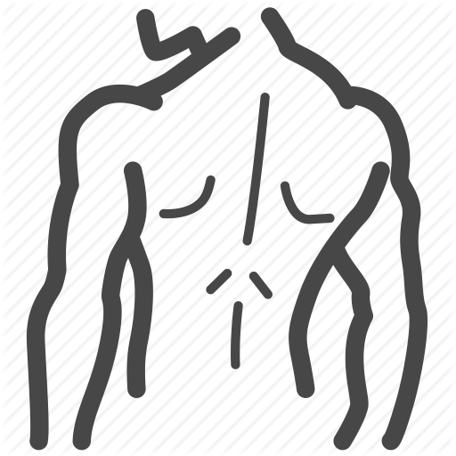 Back, Bodybuilding, Exercise, Fitness, Gym, Muscle, Training Icon