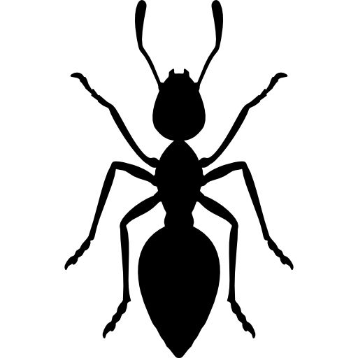 Ant Free Vector Icons Designed