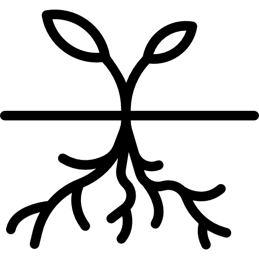 Roots, Food, Carrots, Vegetable, Root, Vegetables, Nutrition Icon