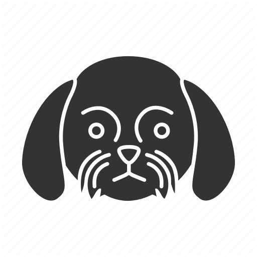 Breed, Chrysanthemum, Dog, Pet, Puppy, Shih, Tzu Icon