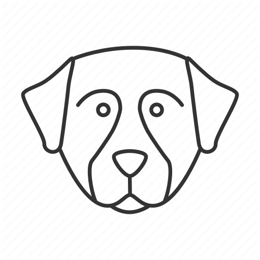 Berner, Bernese, Breed, Dog, Pet, Puppy, Sennenhund Icon