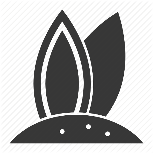 Beach, Beach Scene, Sand, Surfboards Icon