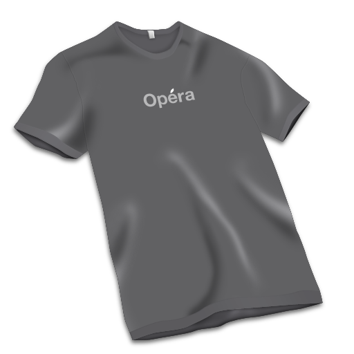 T Shirt Gris Icon