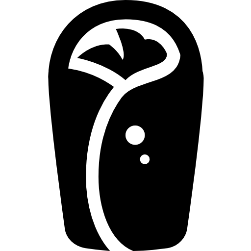 Food Wrap Icon Windows Iconset