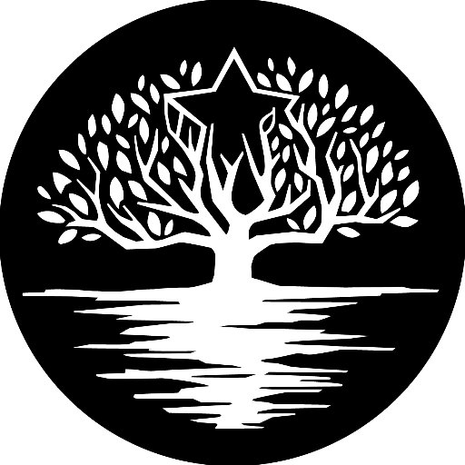 Lone Star Justice Alliance