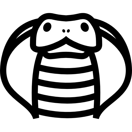 Cobra Front Outline Icons Free Download