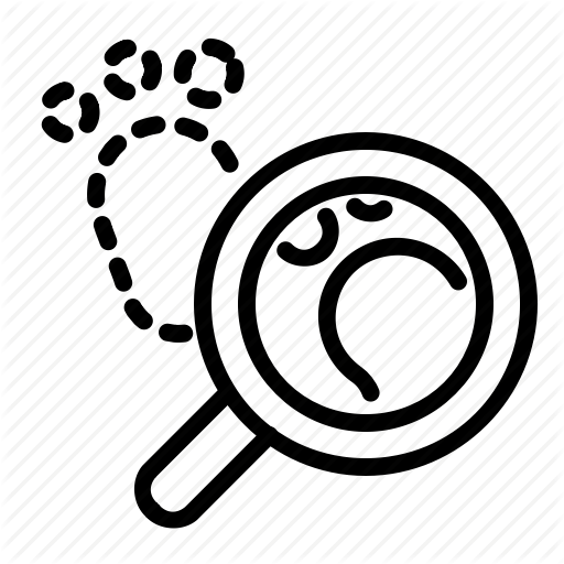 Identify, Search, Seo, Trace Icon