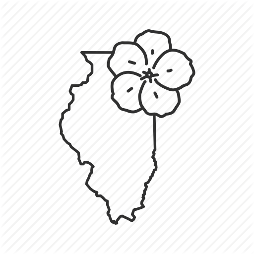 Borders, Illinois, Map, State, State Flower, State Symbol, Usa Icon