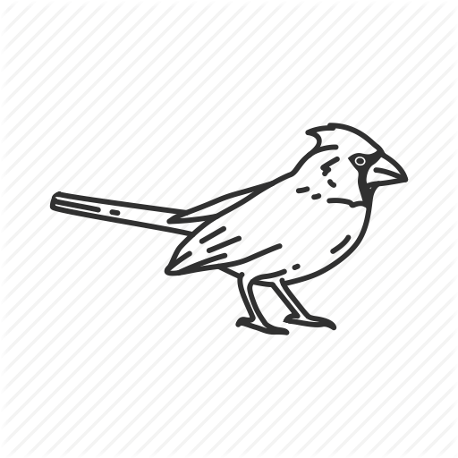 Birds, Indiana, Northern Cardinal, State, State Birds, State