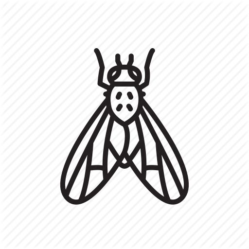 Animal, Bug, Bugs, Creature, Fly, Insect Icon