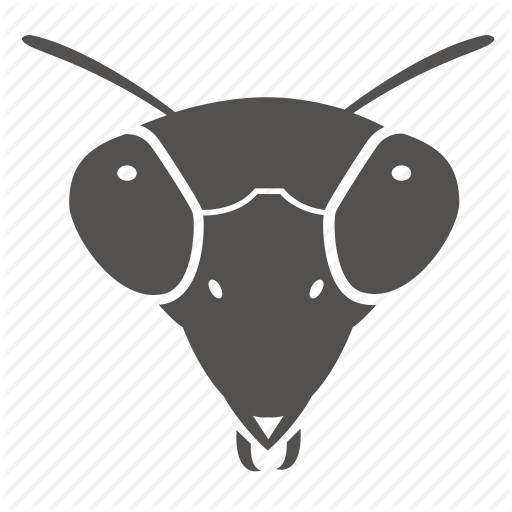 Vector Insects Icon Transparent Png Clipart Free Download